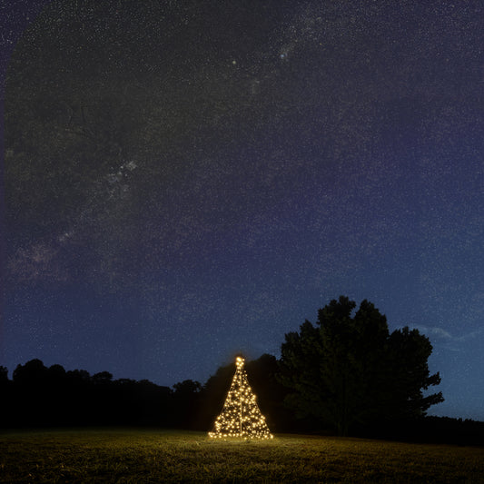 Fairybell Standard 2 metre with warm white light as a small Christmas tree in a dark landscape