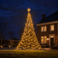 Fairybell | Piek ster goud | Warm wit |