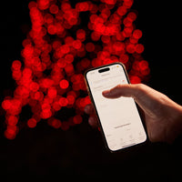 Fairybell Smart Magic | 4 meter | 864 LED's